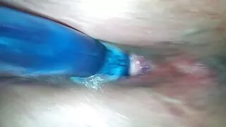 স্পিজু থেকে আবেগী সিসিলিয়া সিংহের সাথে রিভার্স বাংলা চুদাচুদি ভিডি কাউগার্ল ব্যাং